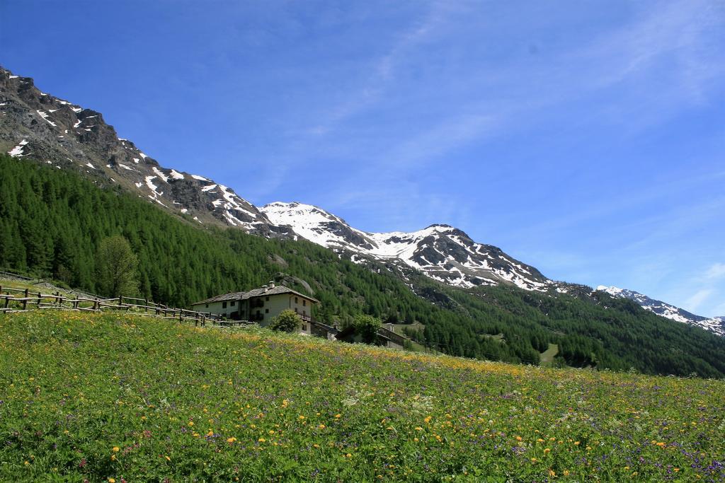 Maison Des Myrtilles Valgrisenche Exterior photo